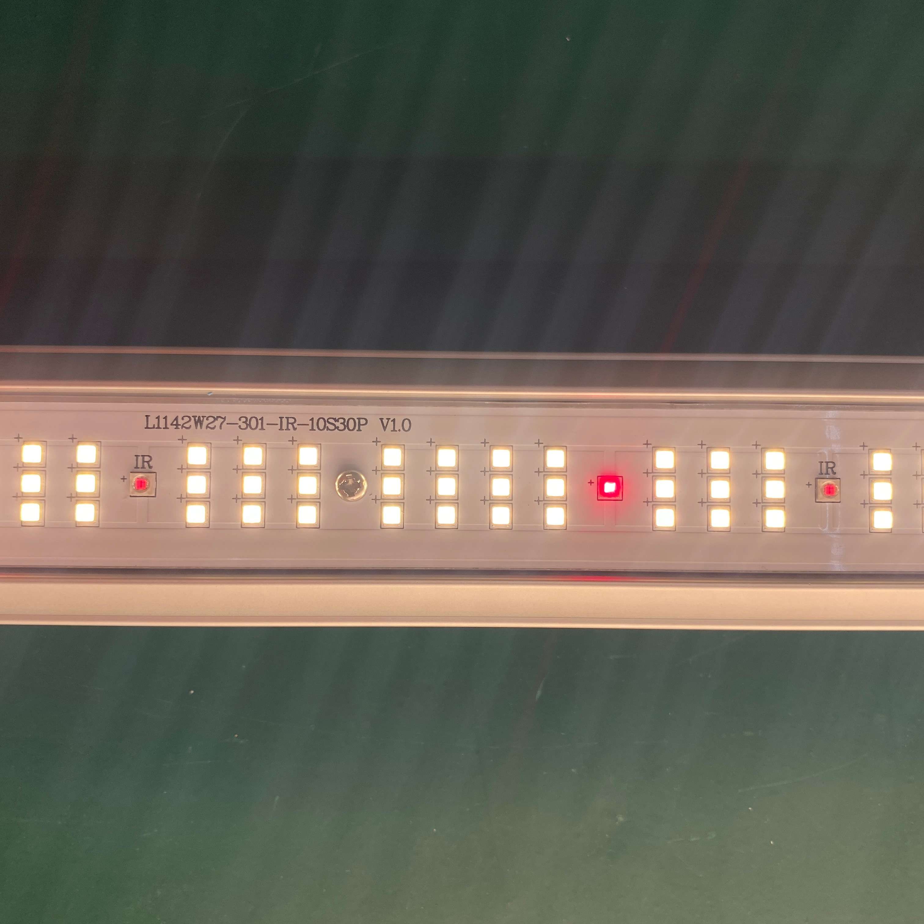 Commercial 1000w Led Grow Light for Succulents