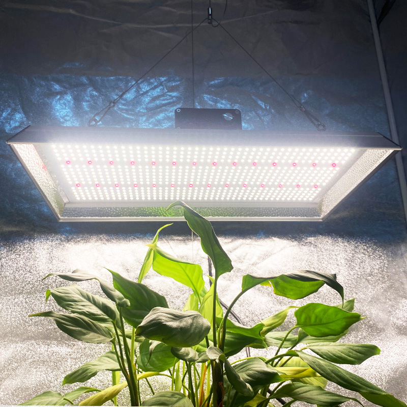 Full Spectrum 200w Led Grow Light for Pot Plants