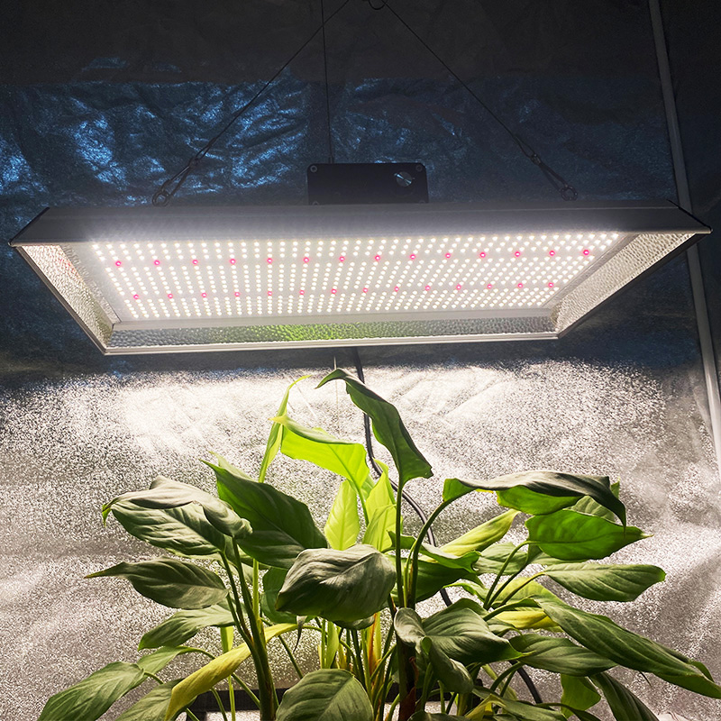 Hydroponic 200w Led Grow Light for Pot Plants