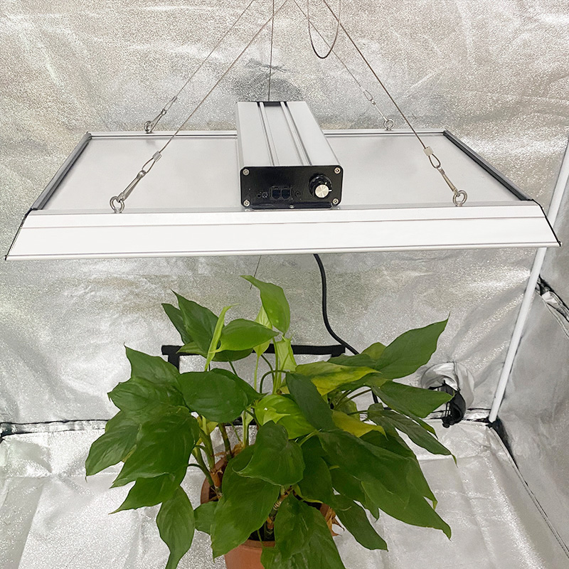 Professional 200w Led Grow Light for Tropical Plants
