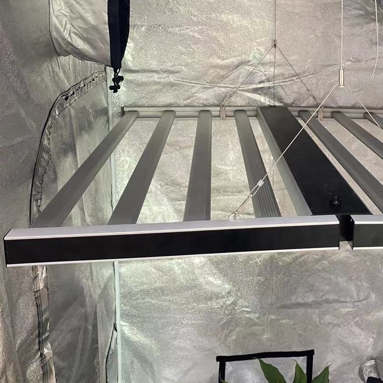 greenhouse 1000w Led Grow Light for tomatoes