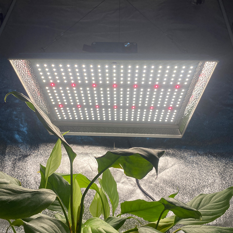 High Performance Garden Led Grow Light for Tomatoes