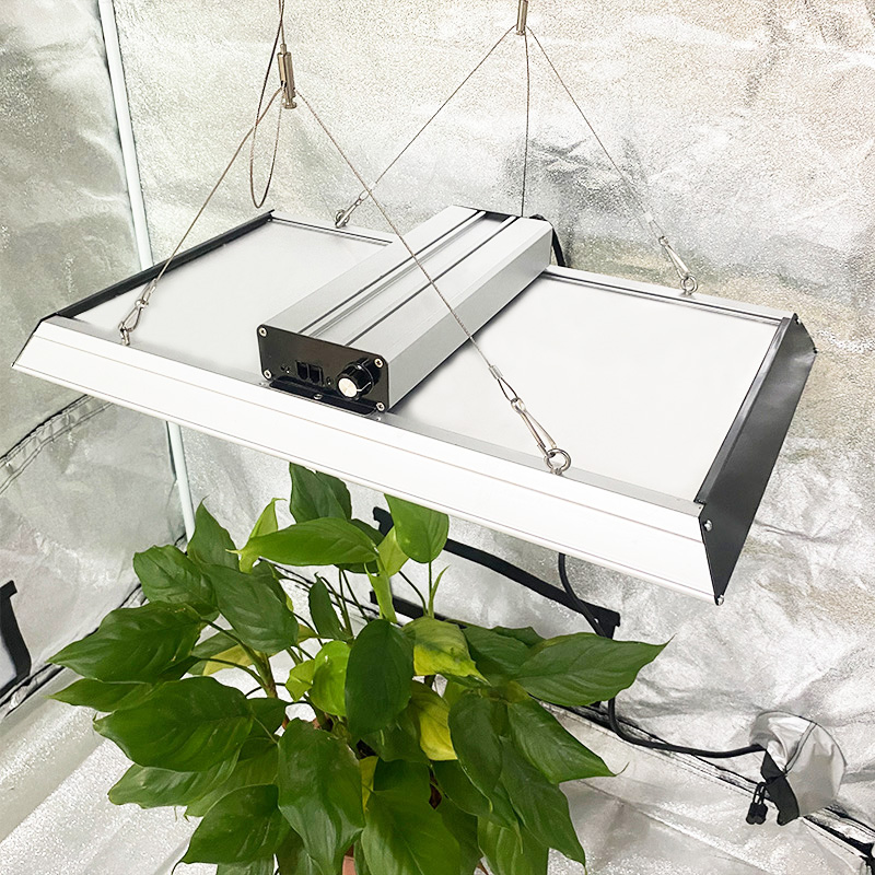 Professional 200w Led Grow Light for Chillies