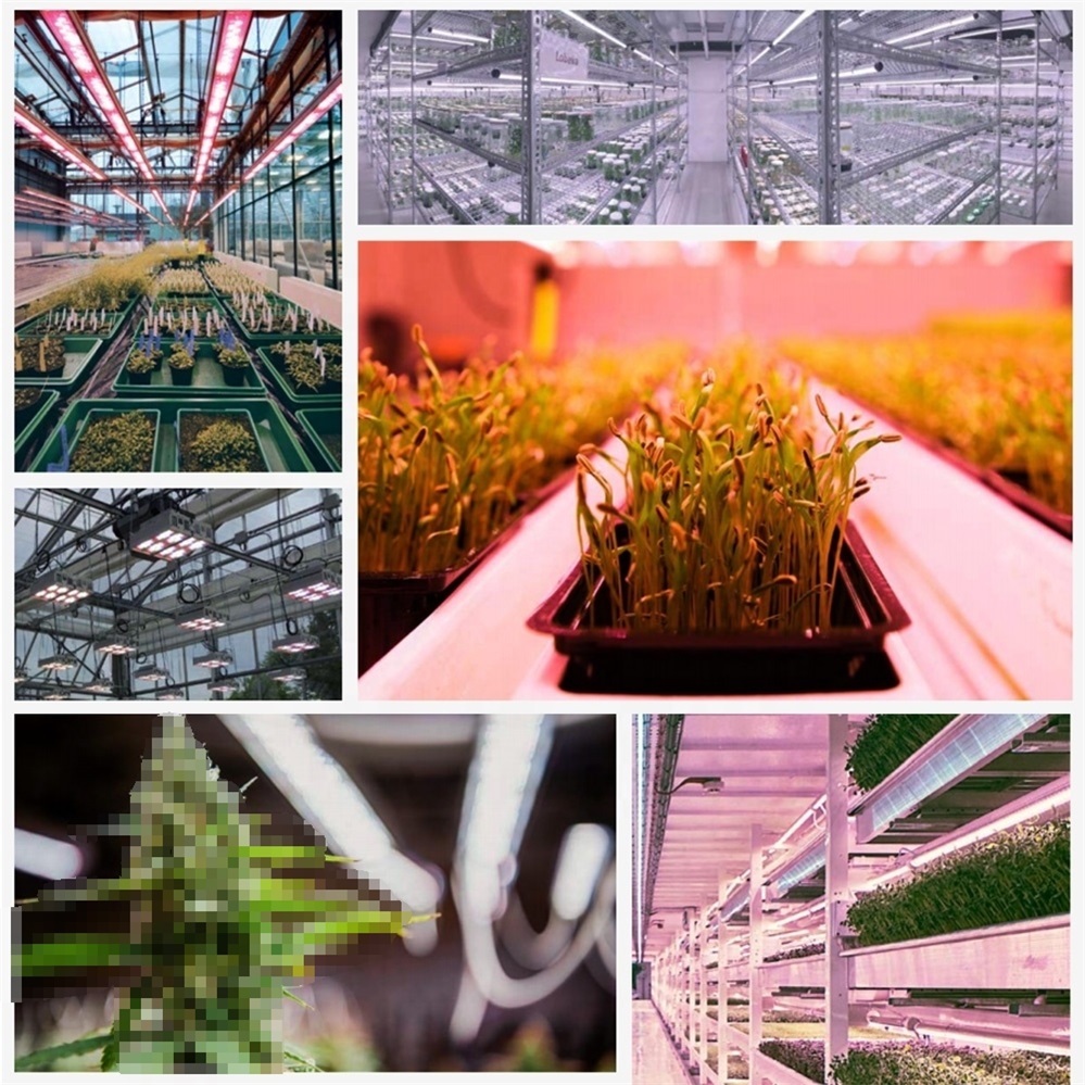 Low Power 40watt Linear Led Grow Light for Orchids